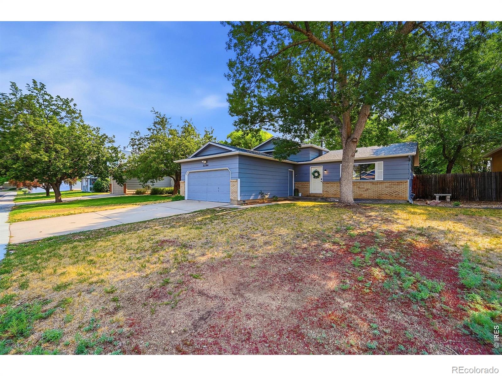 MLS Image #3 for 3206  lymen street,fort collins, Colorado