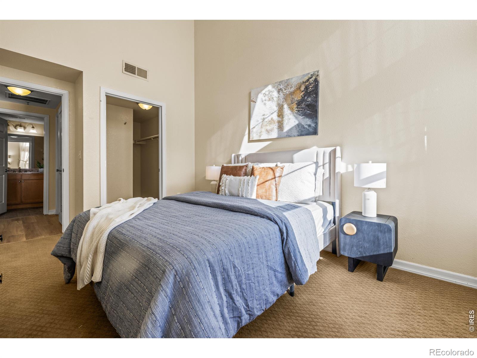 MLS Image #15 for 1623  saint paul street,denver, Colorado