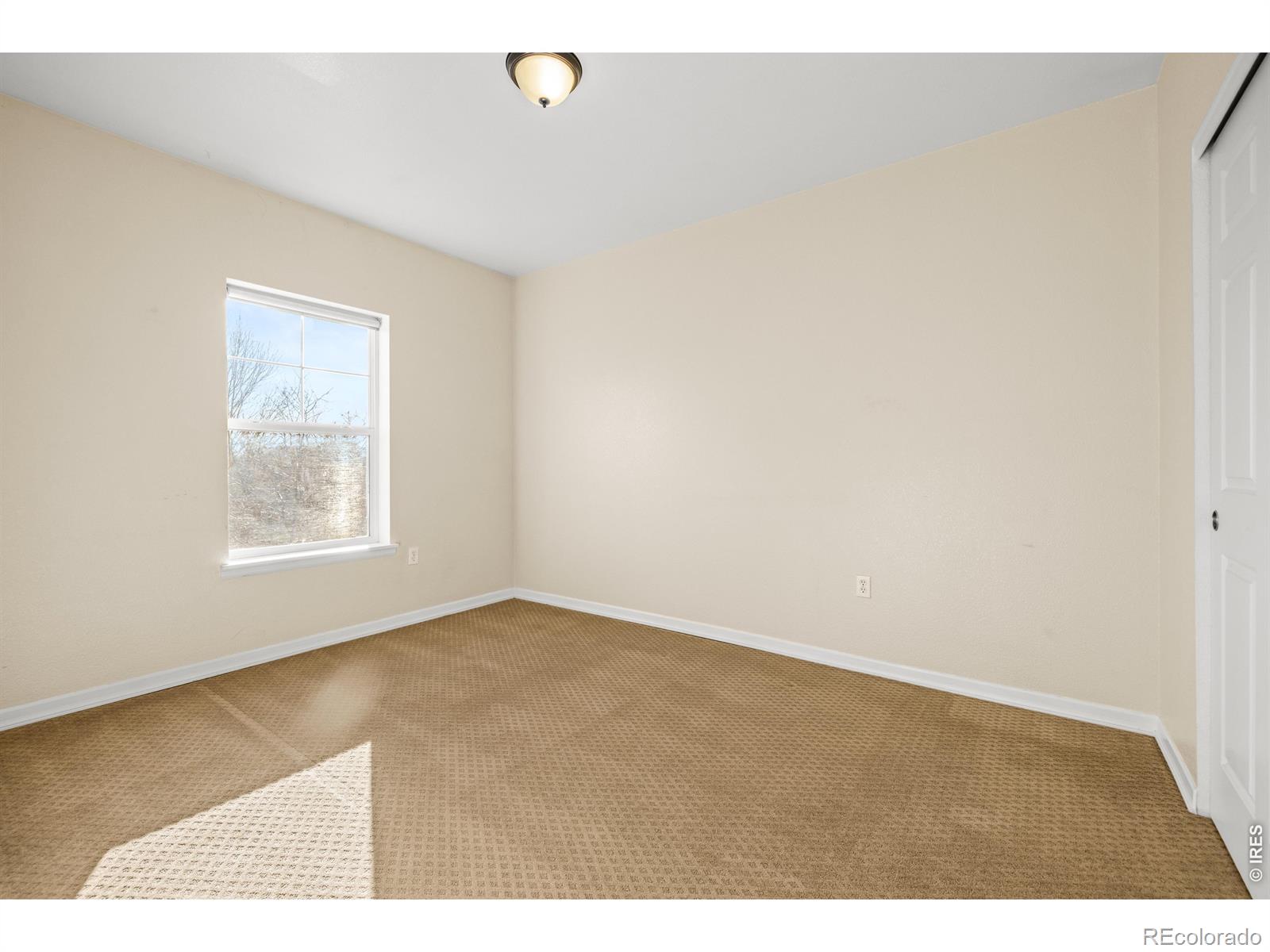 MLS Image #19 for 1623  saint paul street,denver, Colorado