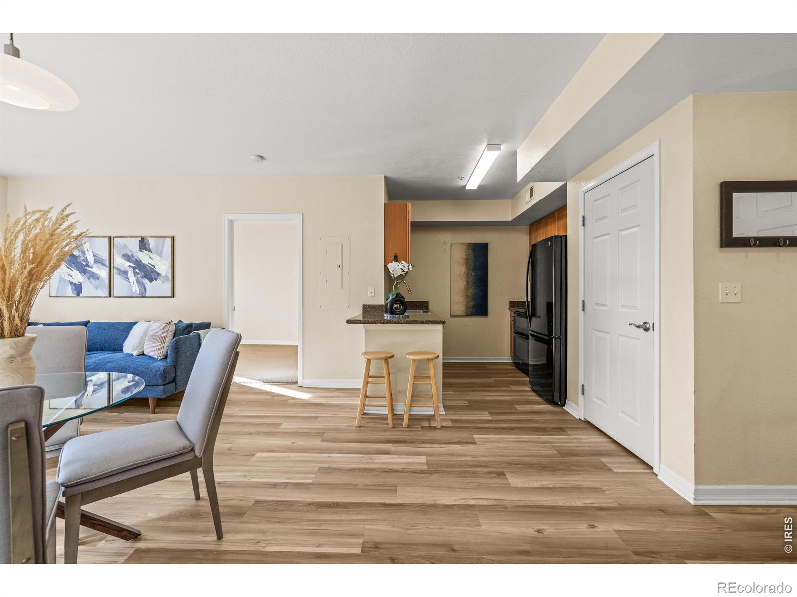 MLS Image #2 for 1623  saint paul street,denver, Colorado