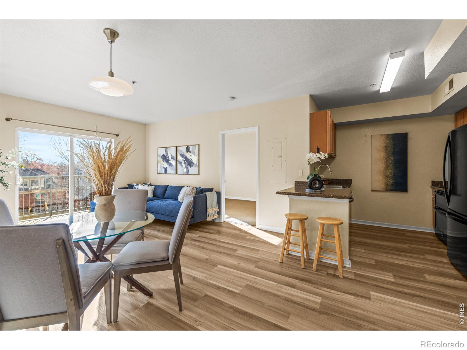 MLS Image #3 for 1623  saint paul street,denver, Colorado
