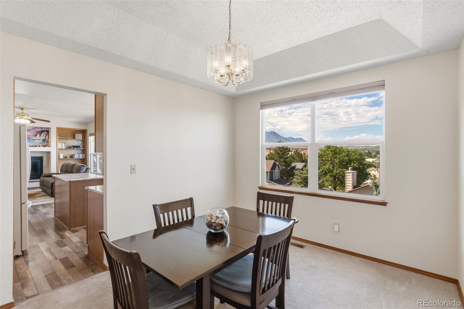 MLS Image #6 for 1547  chesham circle,colorado springs, Colorado
