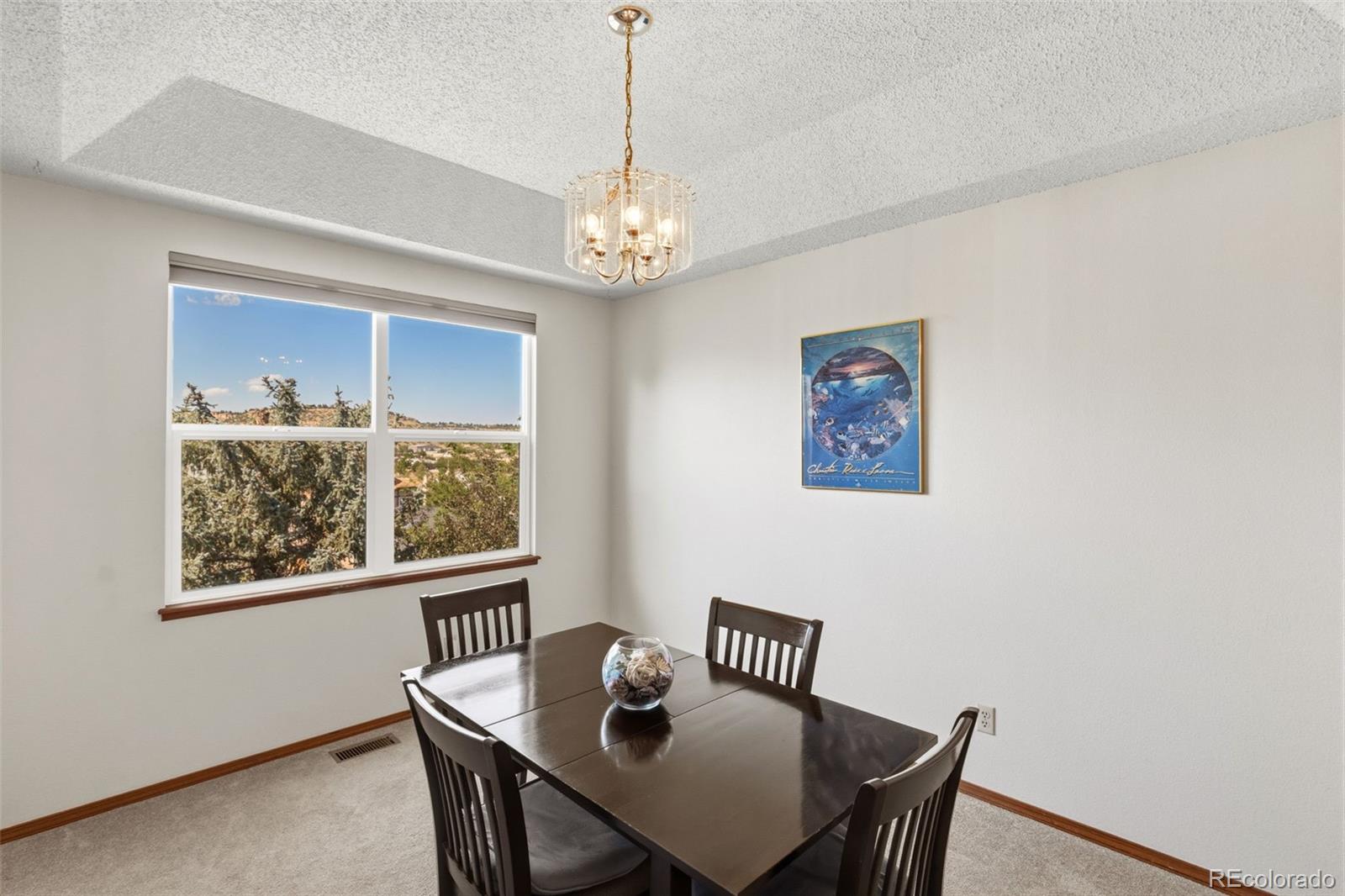 MLS Image #7 for 1547  chesham circle,colorado springs, Colorado