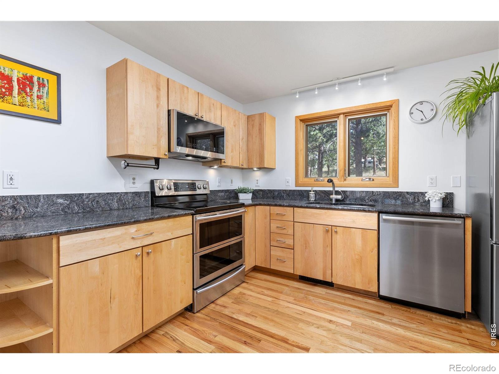 MLS Image #10 for 84  albert drive,rollinsville, Colorado