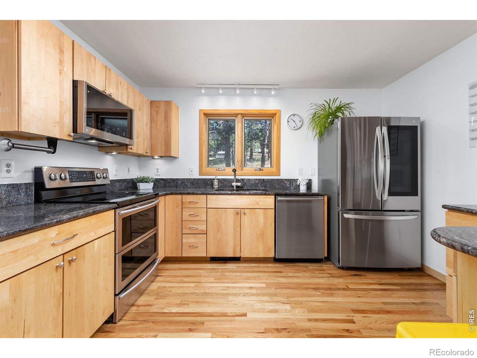 MLS Image #9 for 84  albert drive,rollinsville, Colorado