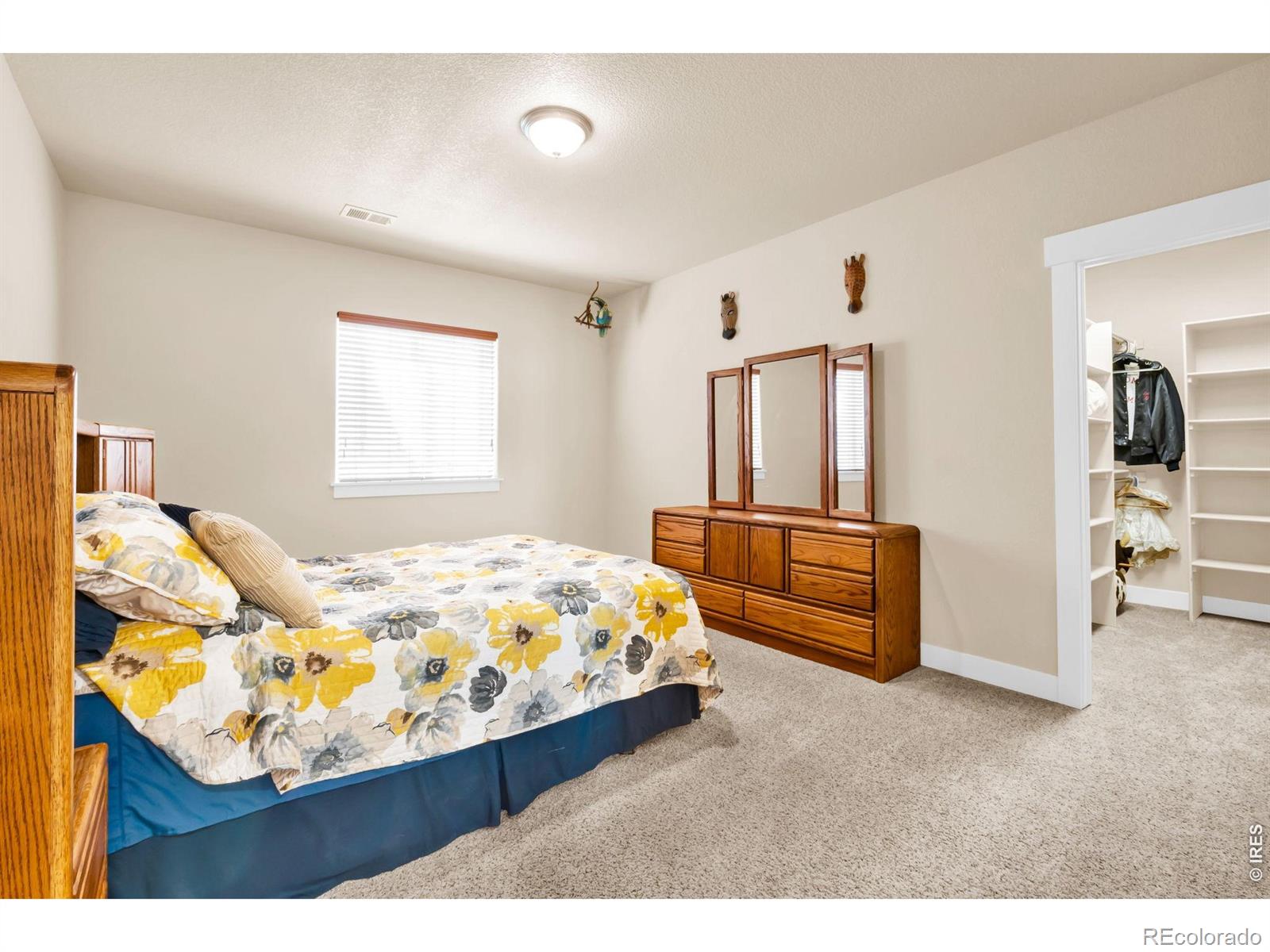 MLS Image #23 for 3785  jay hawk court,dacono, Colorado