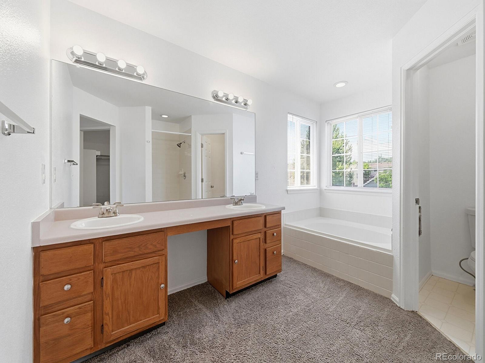 MLS Image #17 for 4064 s himalaya way,aurora, Colorado