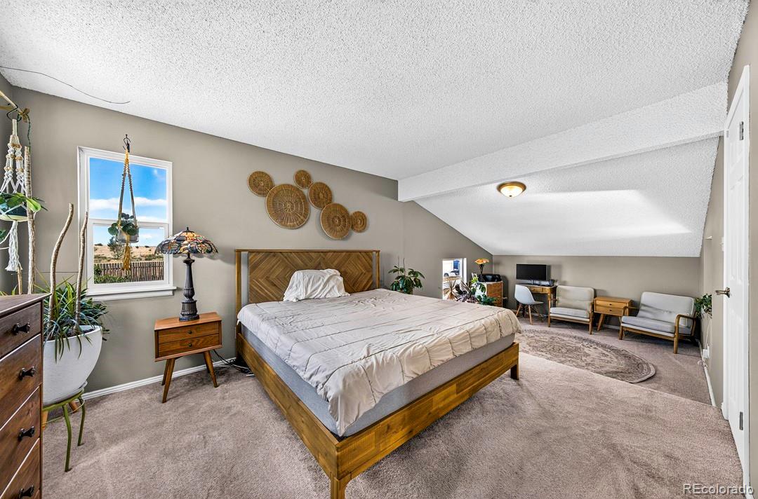 MLS Image #17 for 105  patchwork court,fountain, Colorado