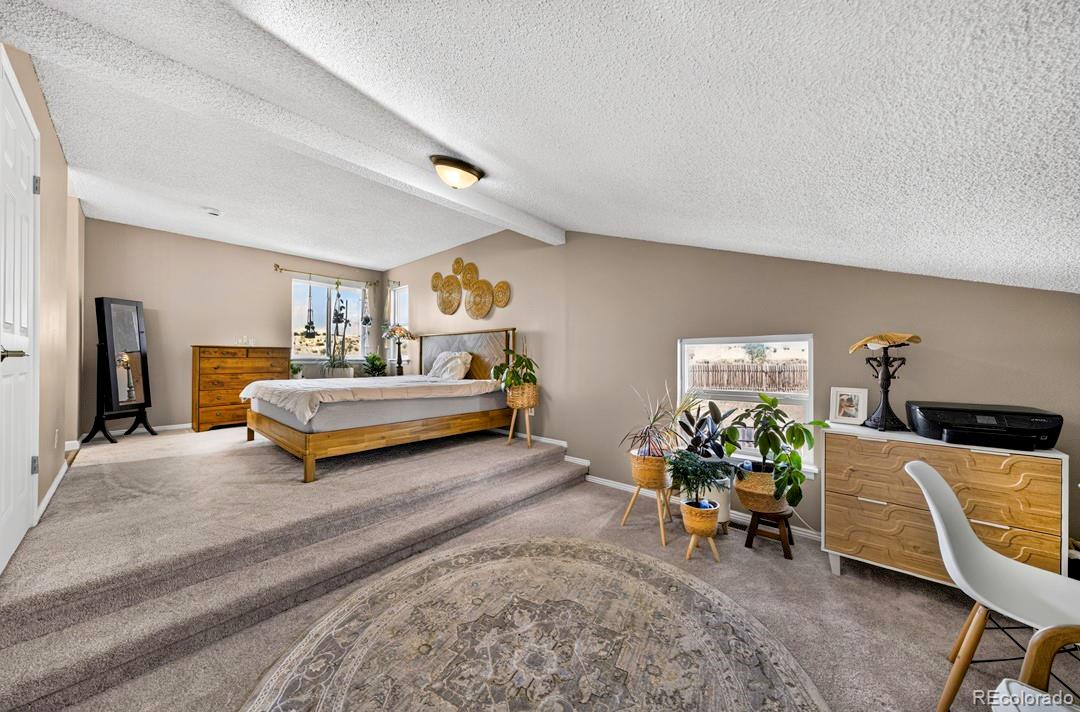 MLS Image #19 for 105  patchwork court,fountain, Colorado