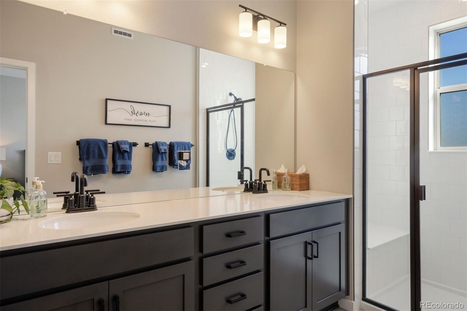 MLS Image #12 for 8349  mount kataka street,littleton, Colorado