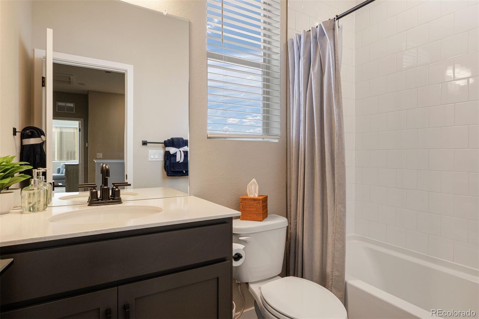 MLS Image #15 for 8349  mount kataka street,littleton, Colorado