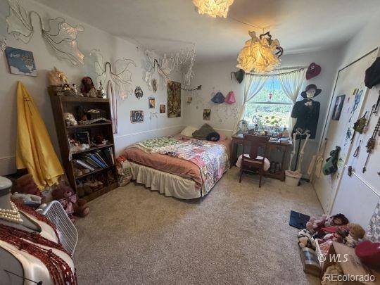 MLS Image #14 for 1004  ridgeview place,canon city, Colorado