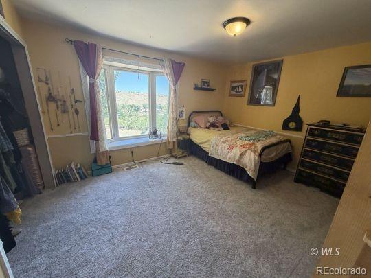 MLS Image #15 for 1004  ridgeview place,canon city, Colorado
