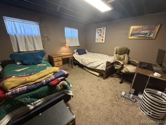 MLS Image #22 for 1004  ridgeview place,canon city, Colorado