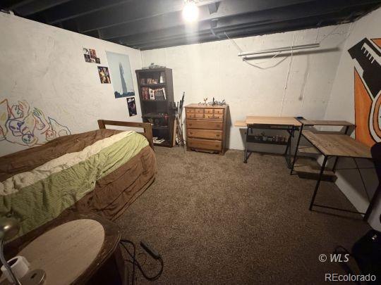 MLS Image #23 for 1004  ridgeview place,canon city, Colorado