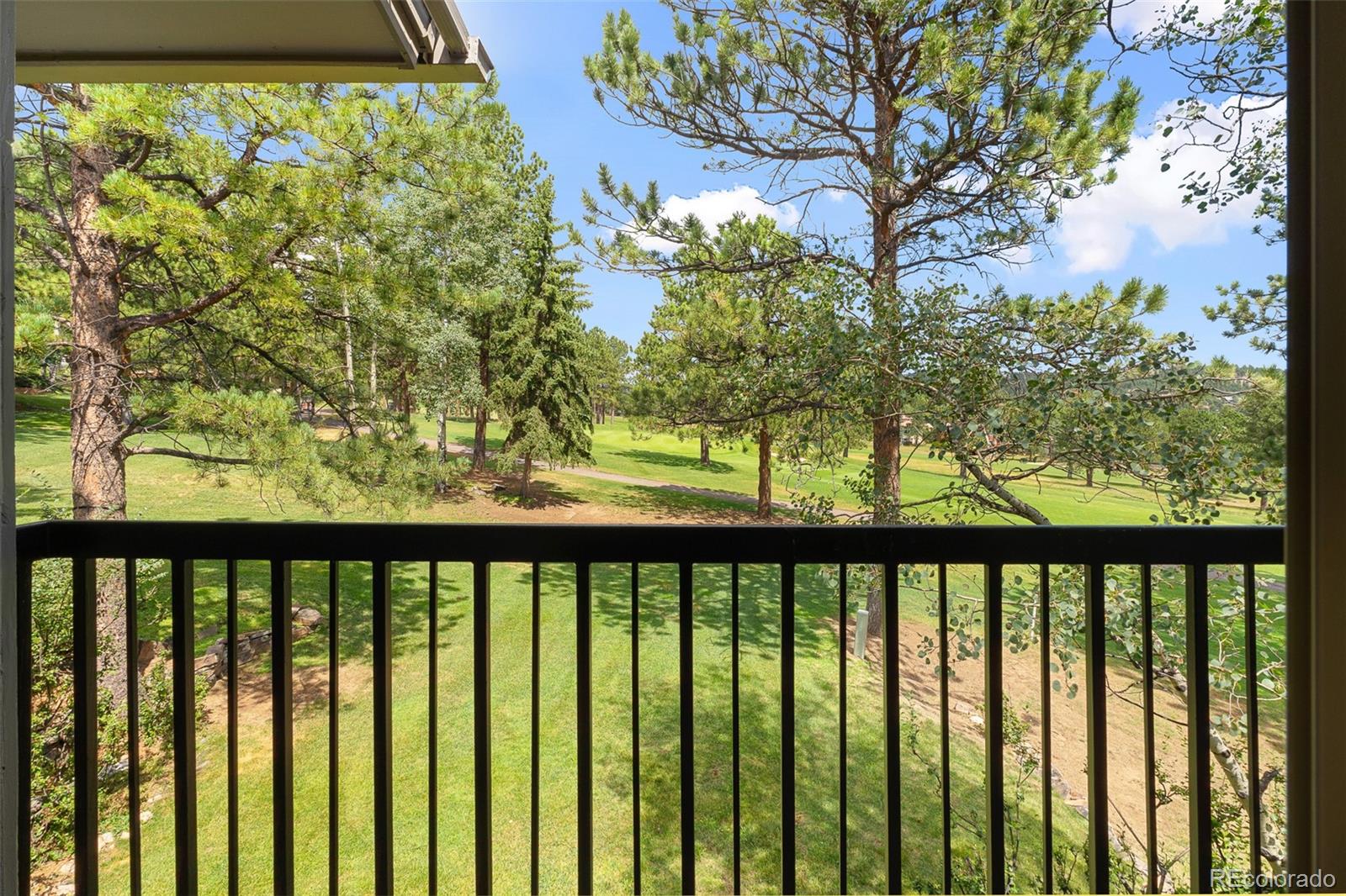 MLS Image #35 for 2338  hearth drive,evergreen, Colorado