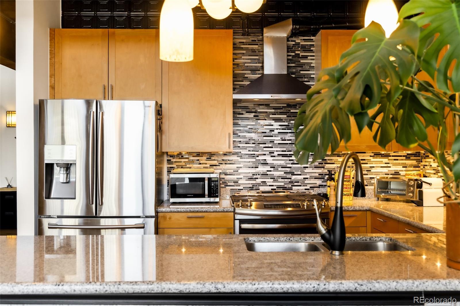 MLS Image #9 for 2960  inca street,denver, Colorado