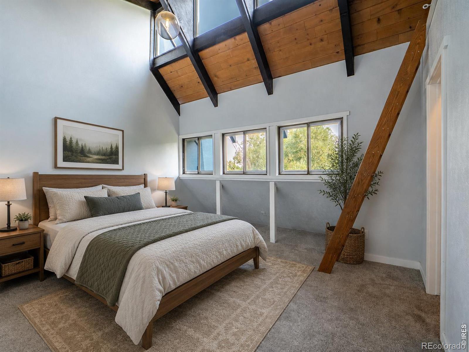 MLS Image #24 for 1708  springmeadows court,fort collins, Colorado