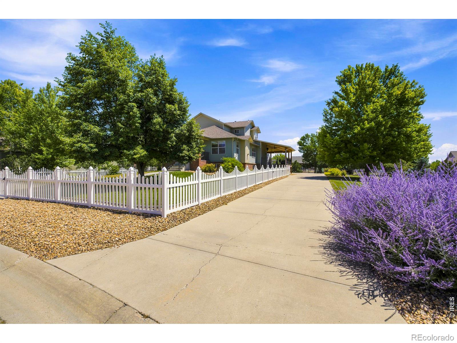 MLS Image #5 for 2038  burbank street,berthoud, Colorado