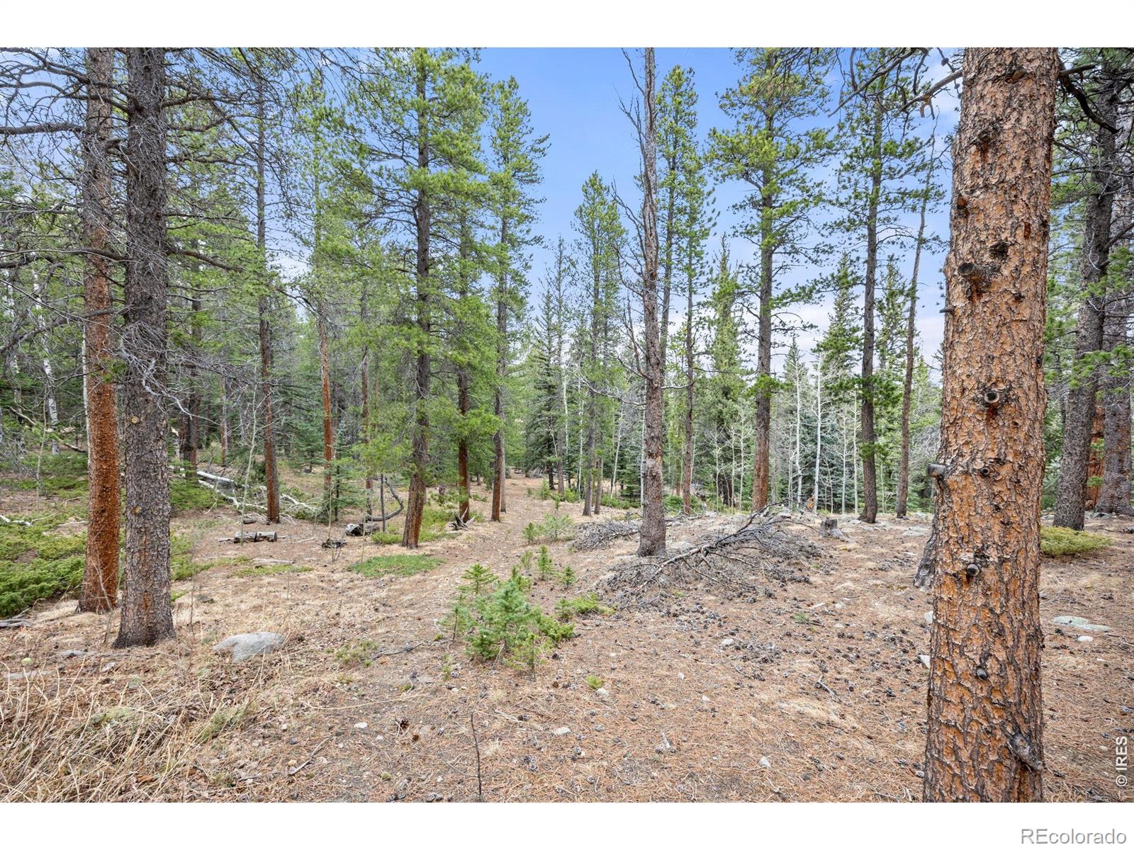 MLS Image #36 for 805  lodge pole drive,black hawk, Colorado