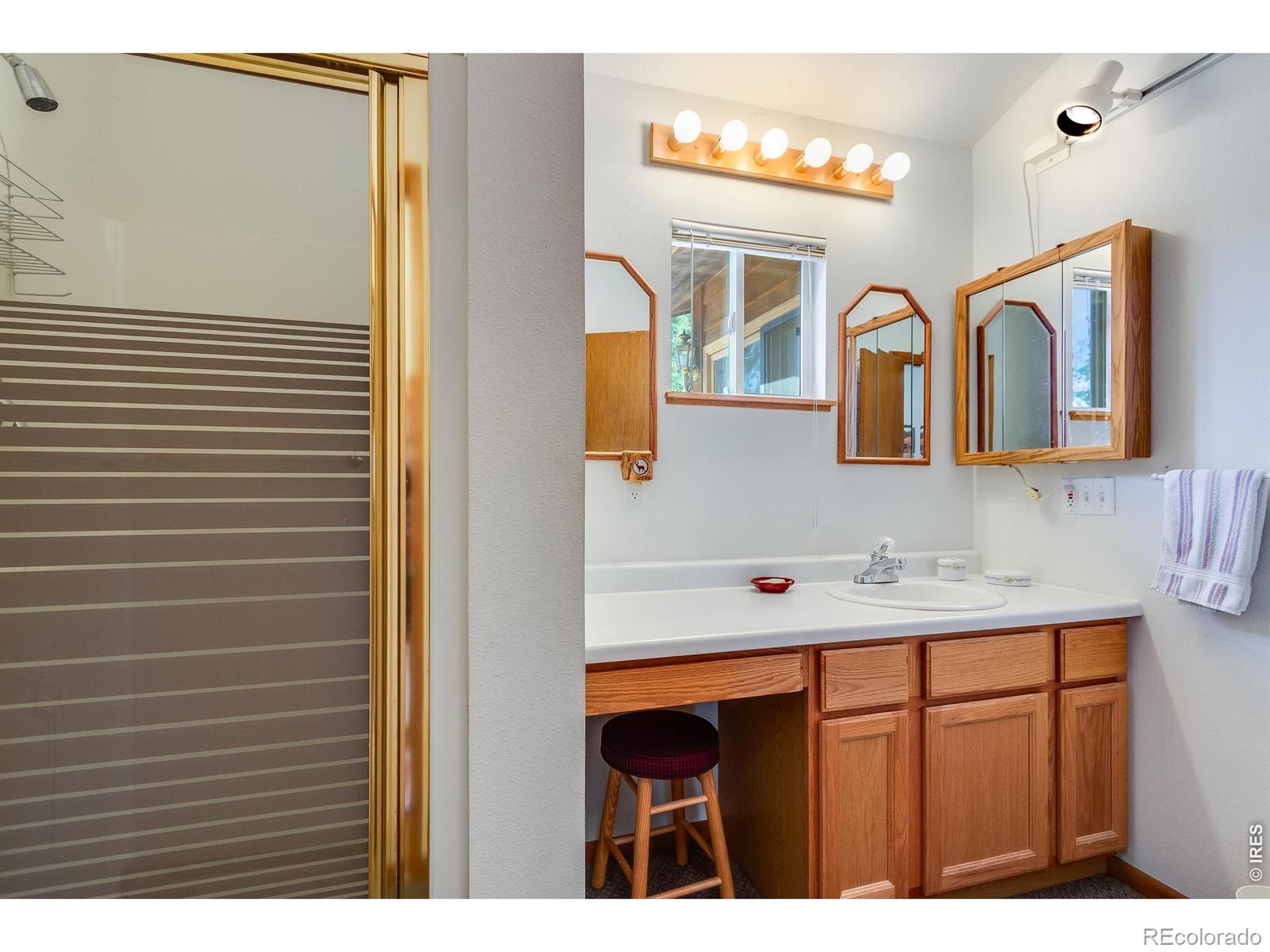 MLS Image #22 for 1421  bluebell drive,estes park, Colorado