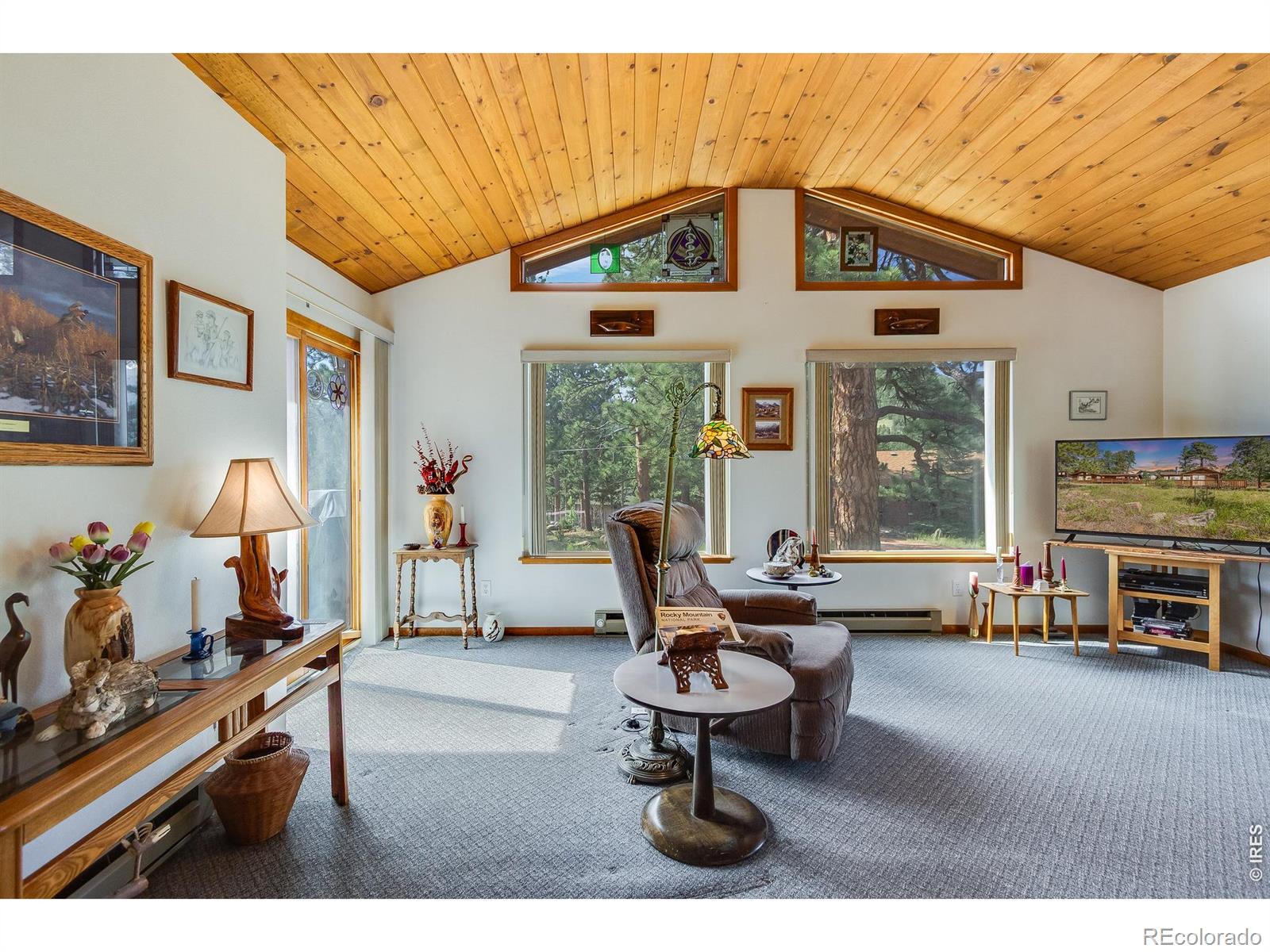 MLS Image #24 for 1421  bluebell drive,estes park, Colorado