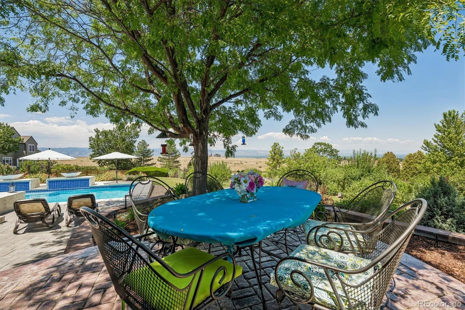 MLS Image #10 for 10197  briargrove way,highlands ranch, Colorado