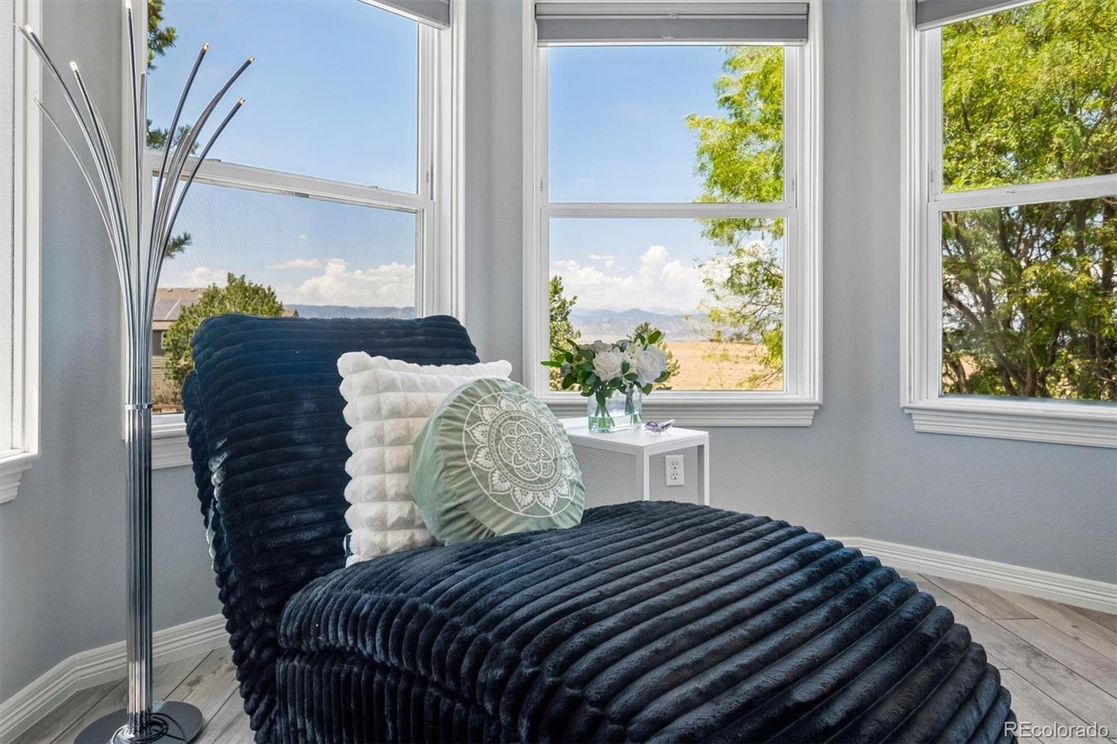 MLS Image #36 for 10197  briargrove way,highlands ranch, Colorado
