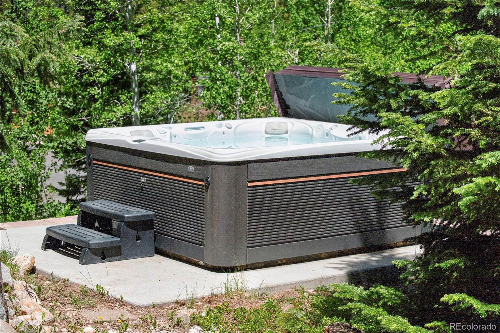 MLS Image #30 for 310  arapahoe road,winter park, Colorado