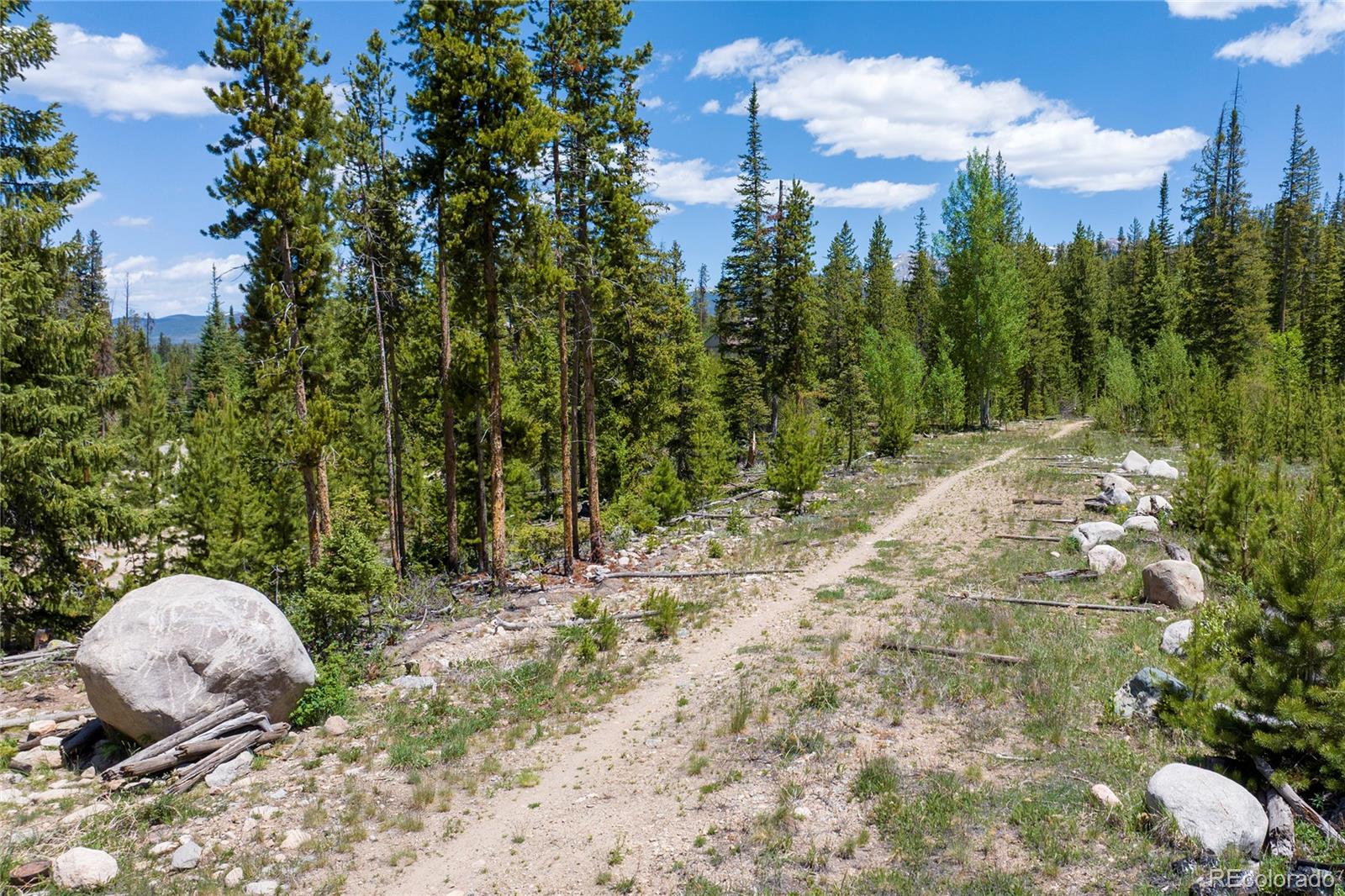 MLS Image #37 for 310  arapahoe road,winter park, Colorado