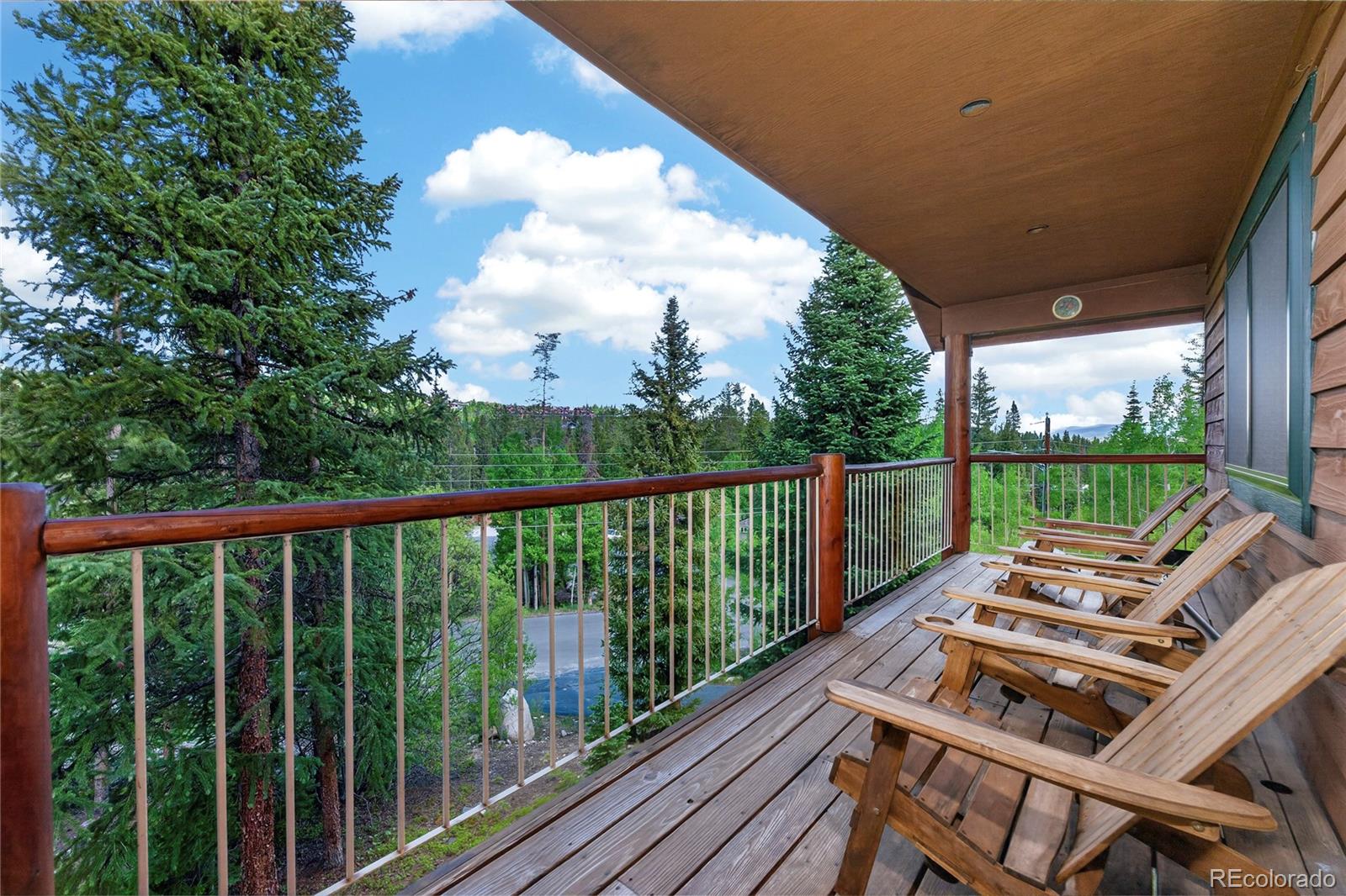 MLS Image #5 for 310  arapahoe road,winter park, Colorado