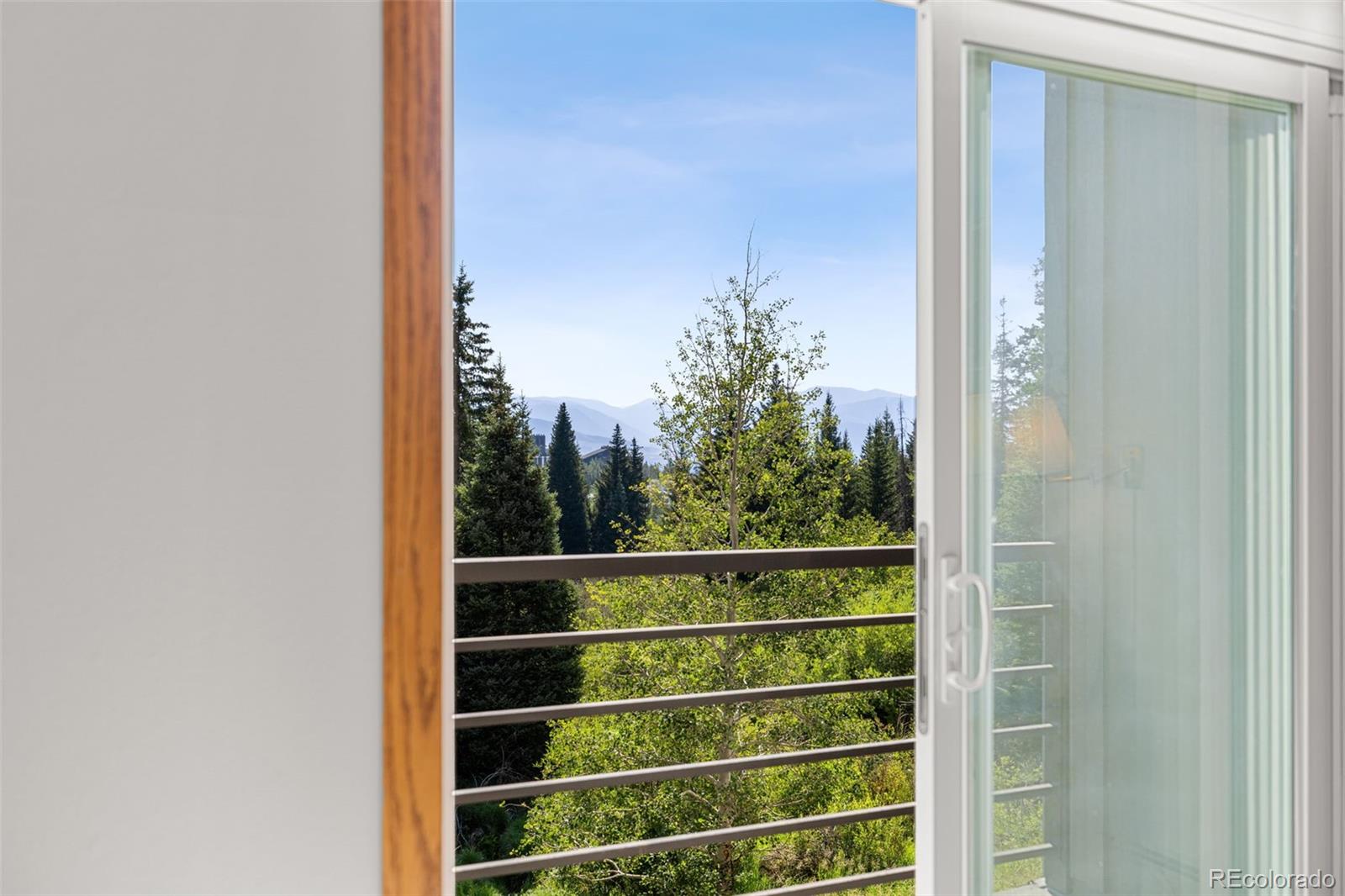 MLS Image #10 for 10000  ryan gulch road,silverthorne, Colorado