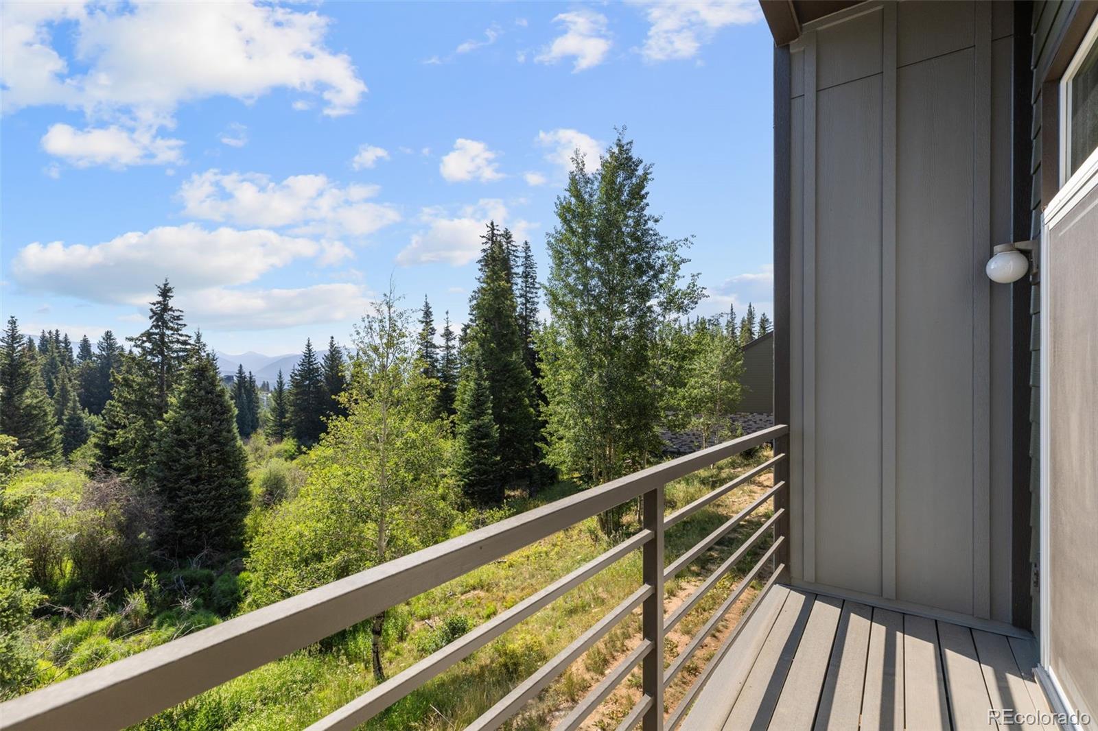 MLS Image #11 for 10000  ryan gulch road,silverthorne, Colorado