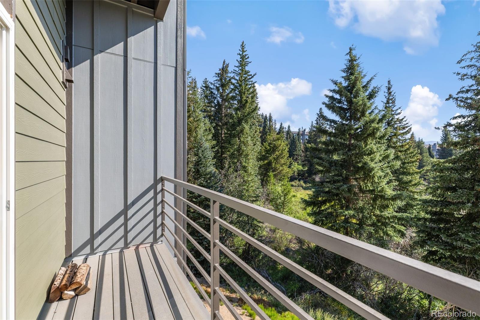 MLS Image #12 for 10000  ryan gulch road,silverthorne, Colorado