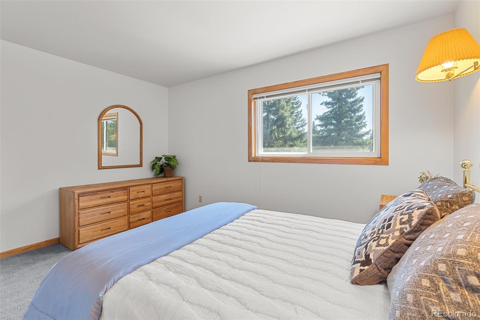 MLS Image #18 for 10000  ryan gulch road,silverthorne, Colorado