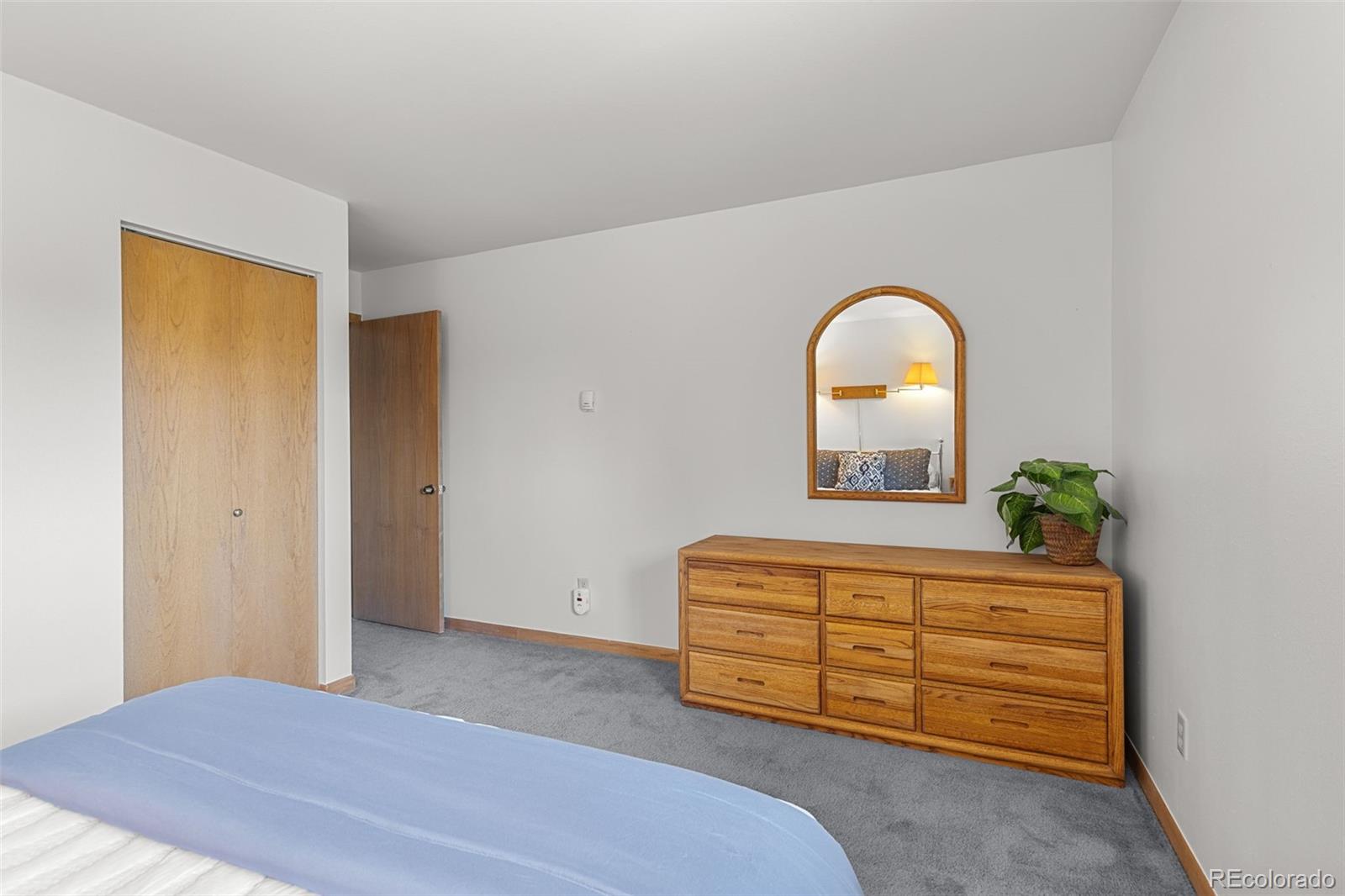 MLS Image #19 for 10000  ryan gulch road,silverthorne, Colorado