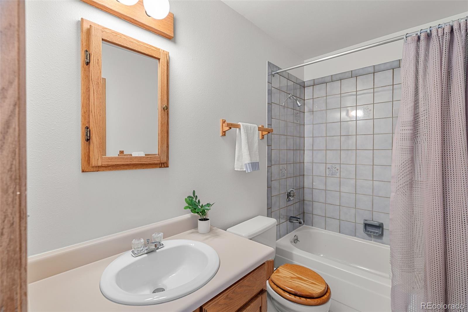 MLS Image #20 for 10000  ryan gulch road,silverthorne, Colorado
