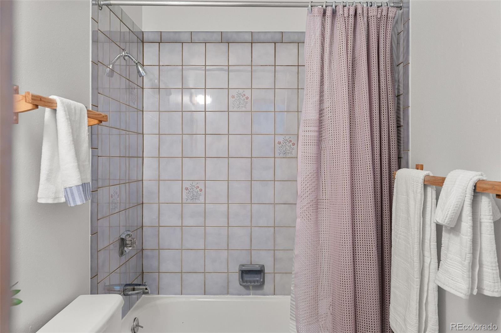 MLS Image #21 for 10000  ryan gulch road,silverthorne, Colorado