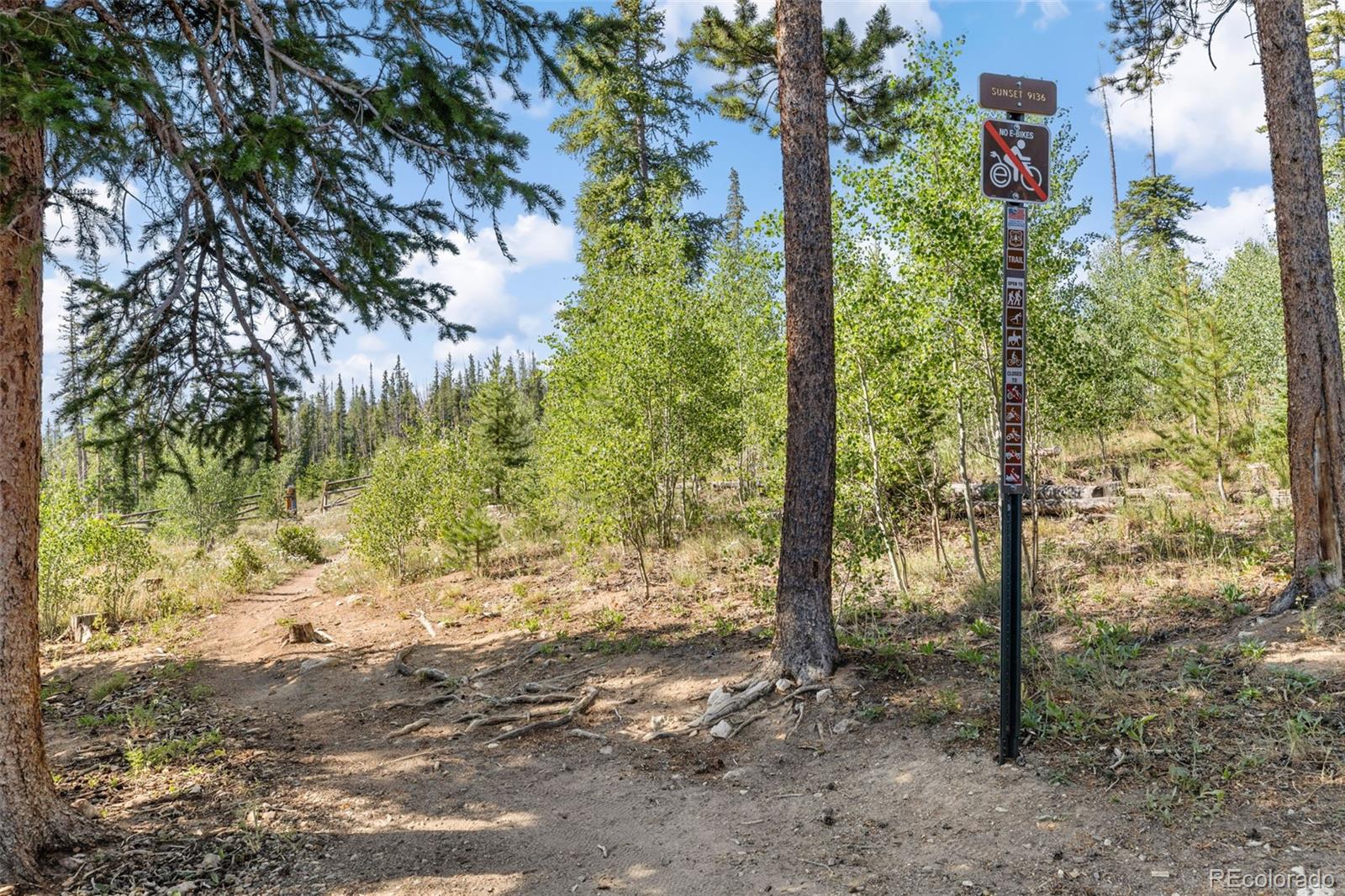 MLS Image #31 for 10000  ryan gulch road,silverthorne, Colorado