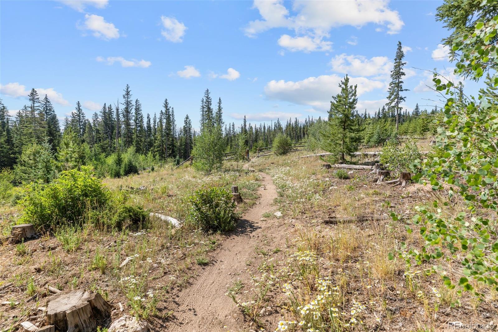 MLS Image #32 for 10000  ryan gulch road,silverthorne, Colorado
