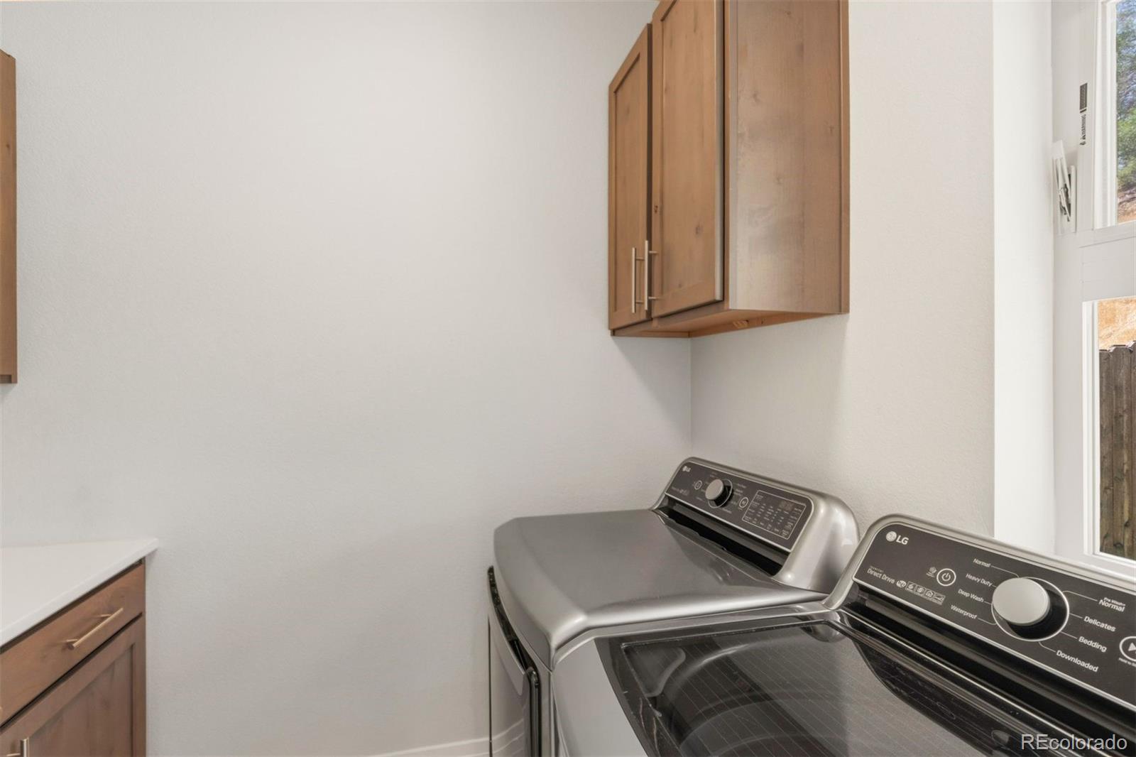 MLS Image #12 for 419 n chestnut street,colorado springs, Colorado