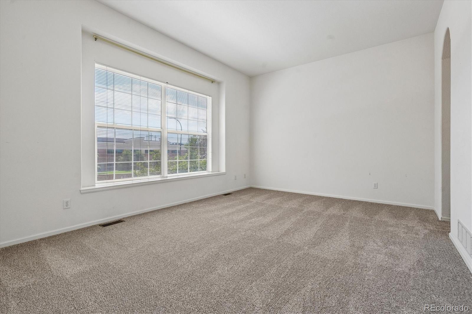 MLS Image #21 for 126  woodland court,highlands ranch, Colorado