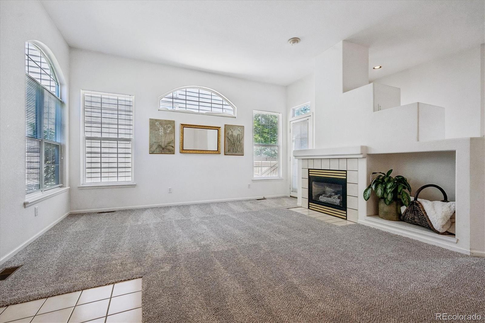 MLS Image #5 for 126  woodland court,highlands ranch, Colorado
