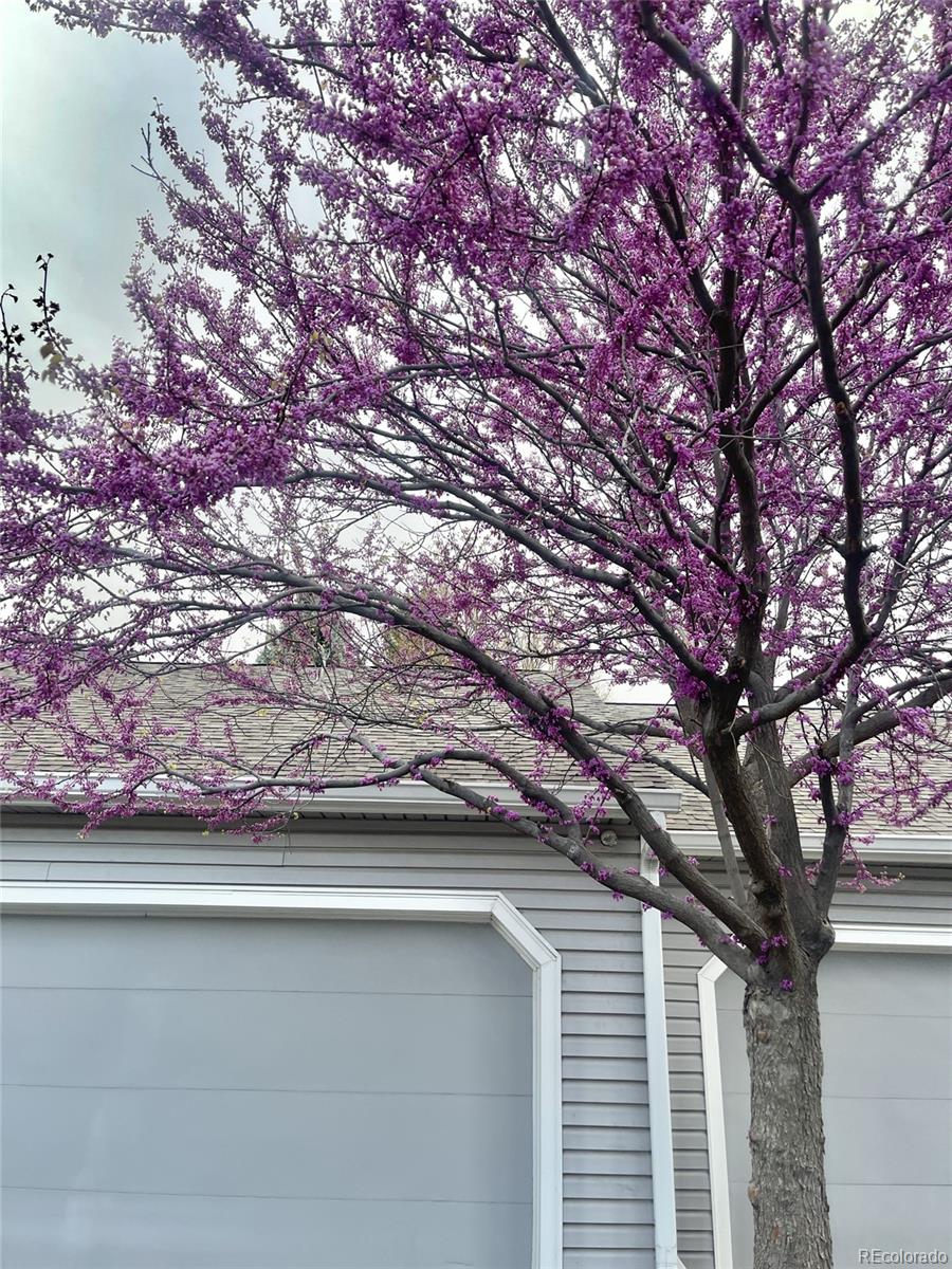 MLS Image #1 for 13703 e marina drive a,aurora, Colorado