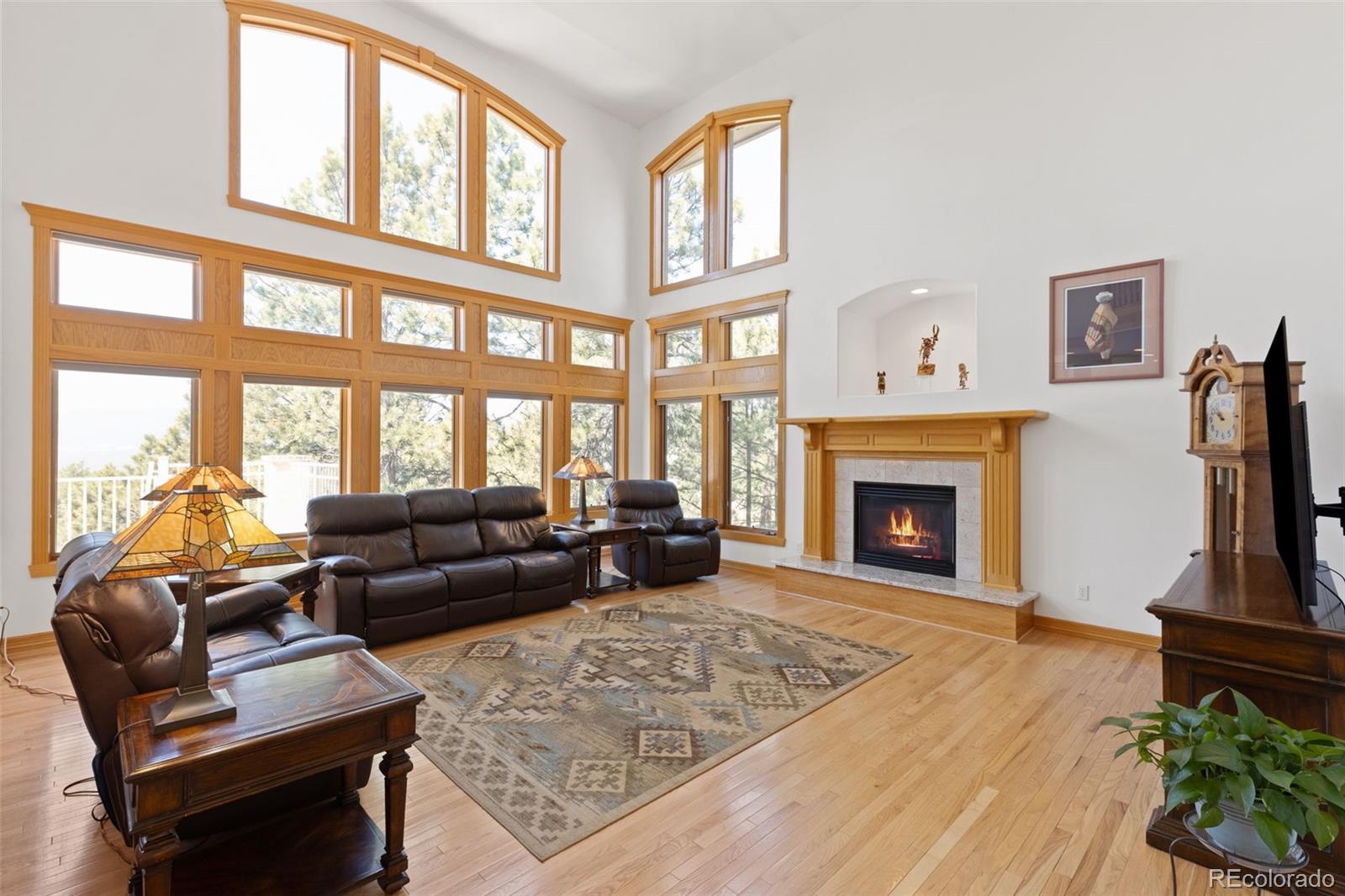 MLS Image #13 for 1145  cambrook court,monument, Colorado