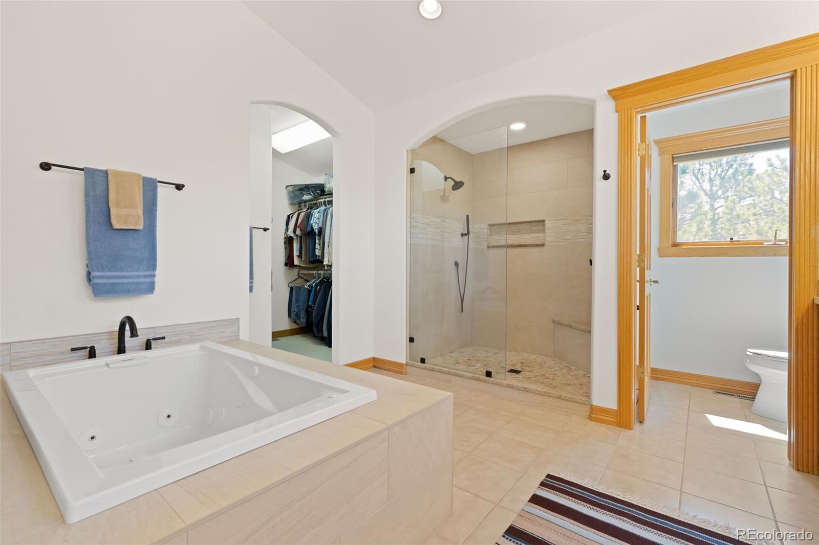 MLS Image #20 for 1145  cambrook court,monument, Colorado