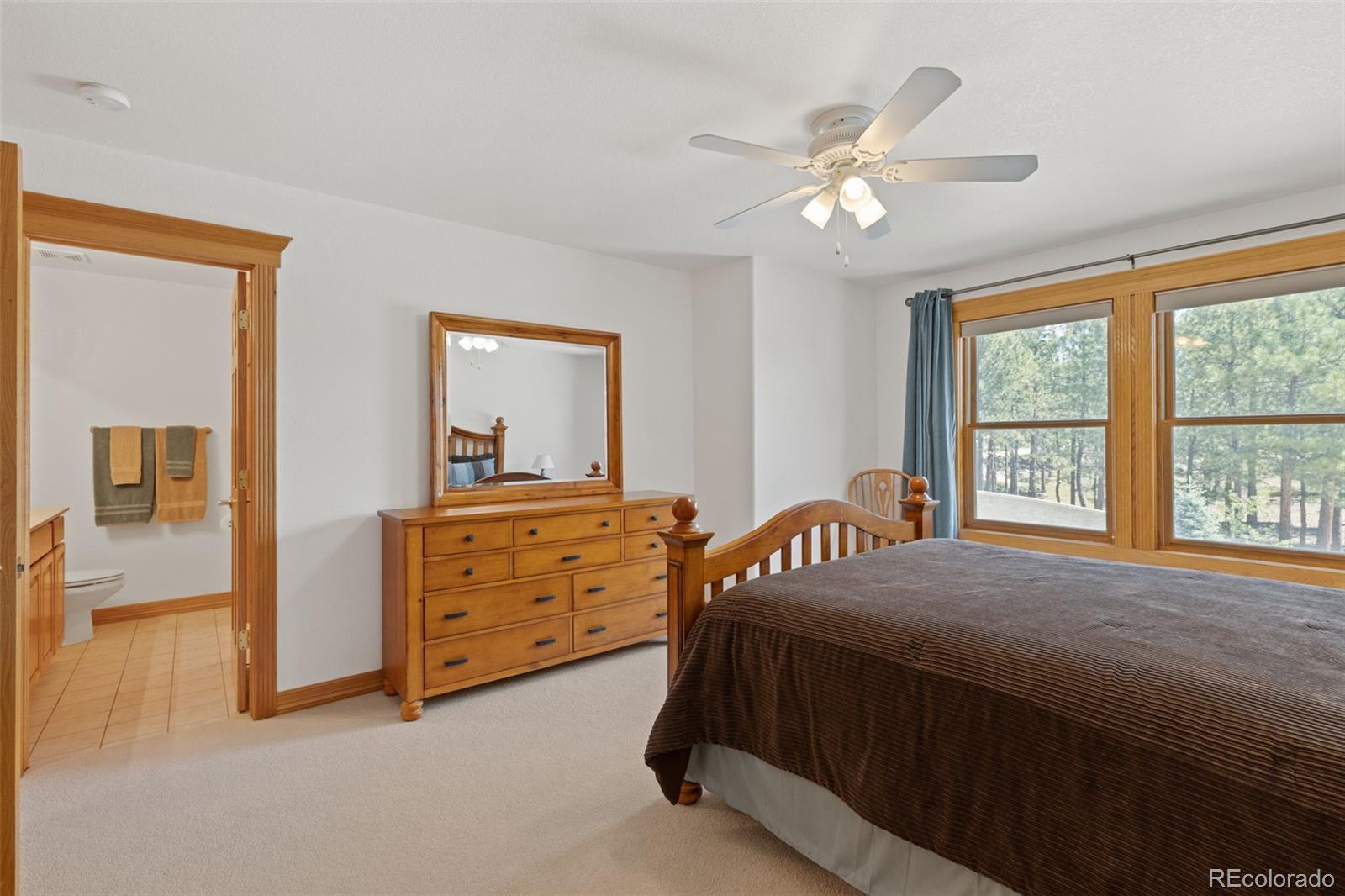 MLS Image #33 for 1145  cambrook court,monument, Colorado