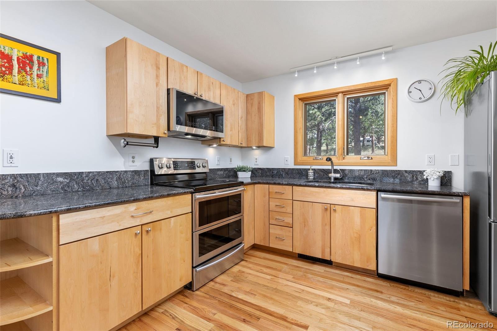 MLS Image #10 for 84  albert drive,rollinsville, Colorado