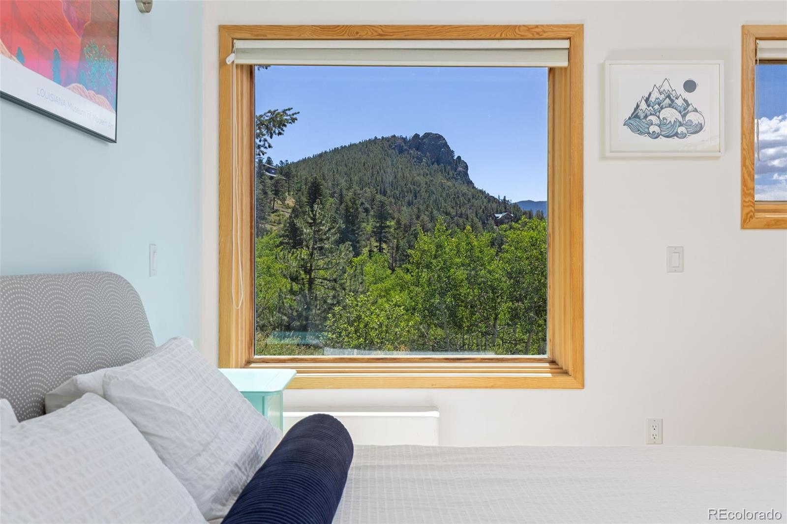 MLS Image #21 for 84  albert drive,rollinsville, Colorado
