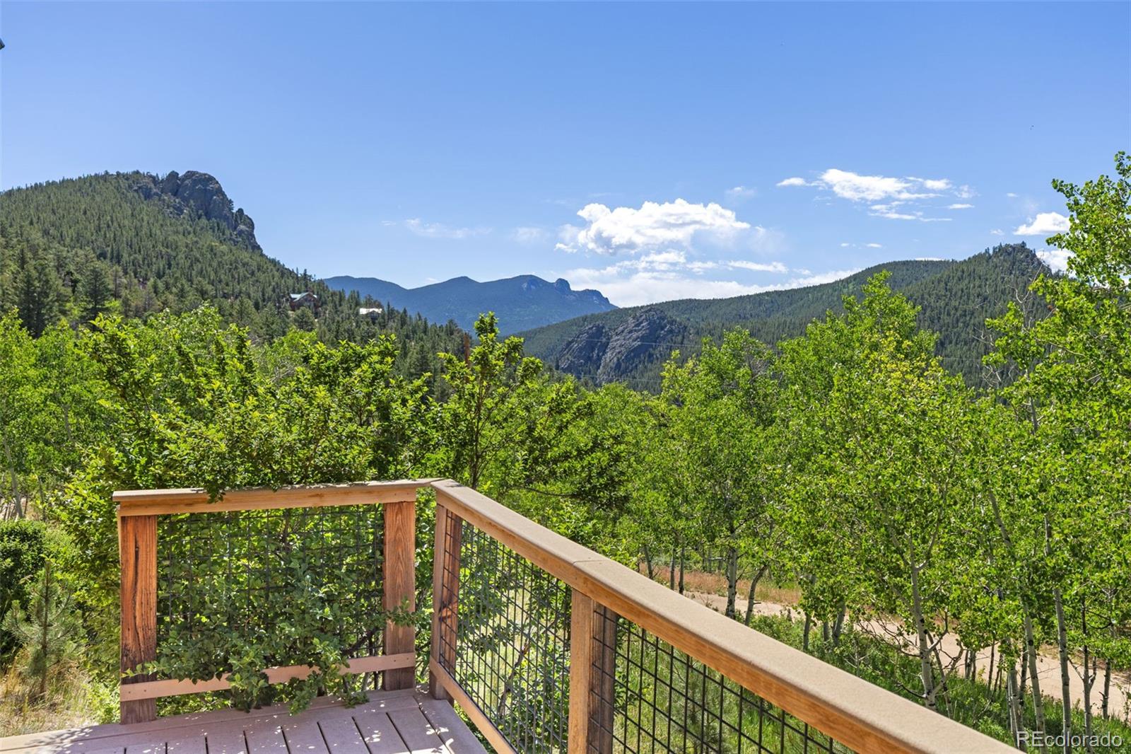 MLS Image #5 for 84  albert drive,rollinsville, Colorado